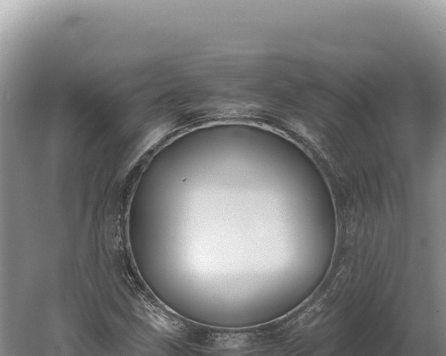 X0000060571211200511101621