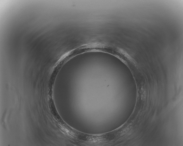 X0000060571213200511101621