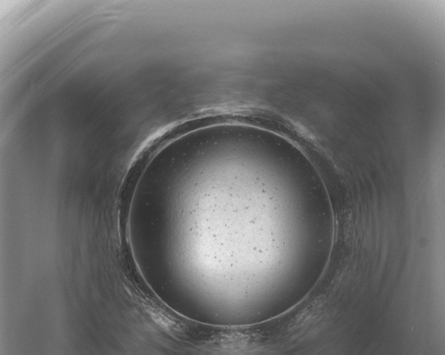 X0000060571214200511101621