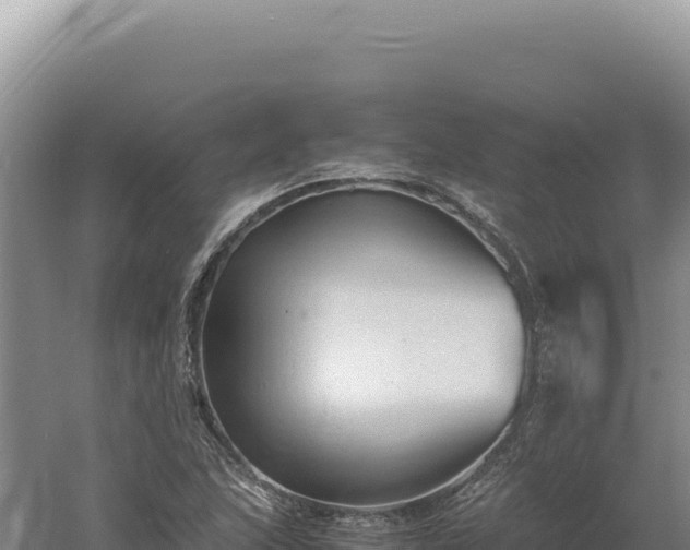 X0000060571215200511101621