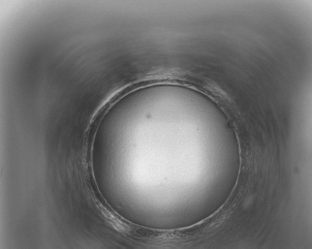 X0000060571216200511101621