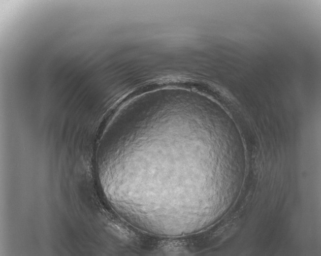 X0000060571217200511101621