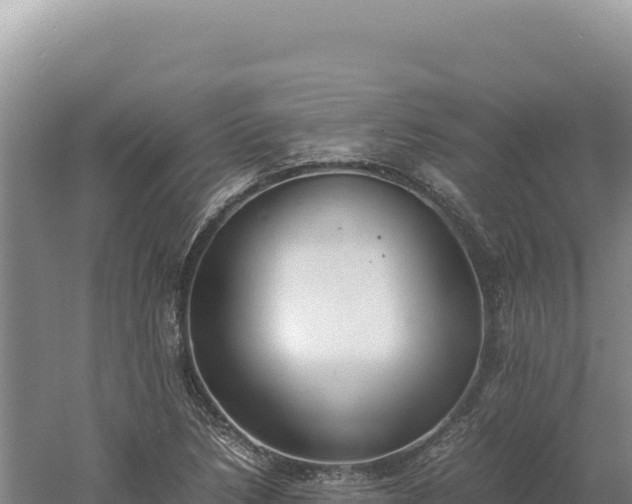 X0000060571218200511101621