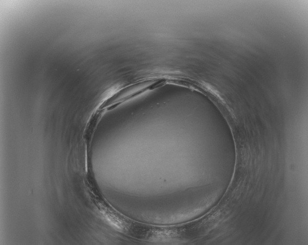 X0000060571219200511101621