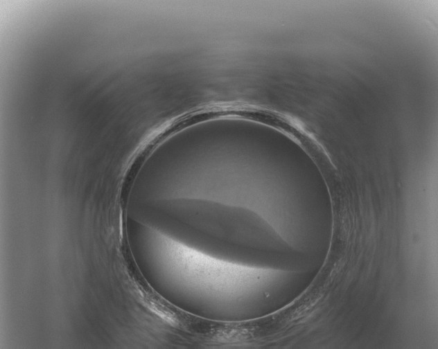 X0000060571221200511101621