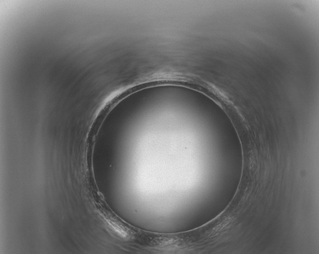 X0000060571222200511101621