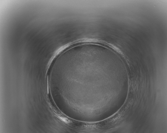 X0000060571223200511101621