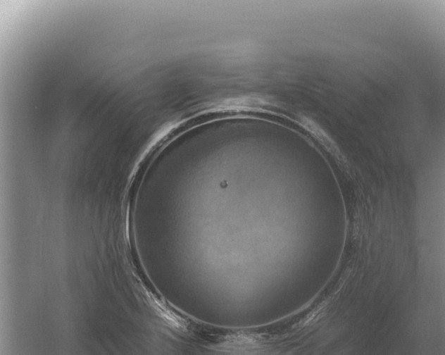 X0000060571224200511101621