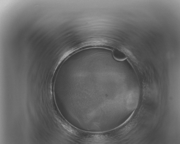 X0000060571226200511101621