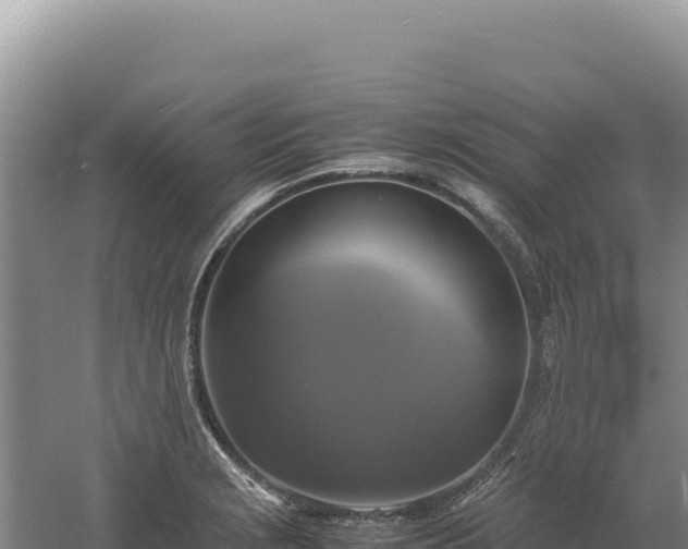 X0000060571229200511101621