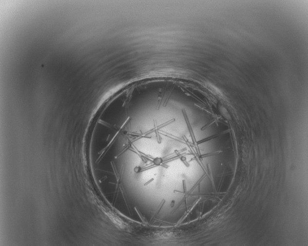 X0000060571230200511101621