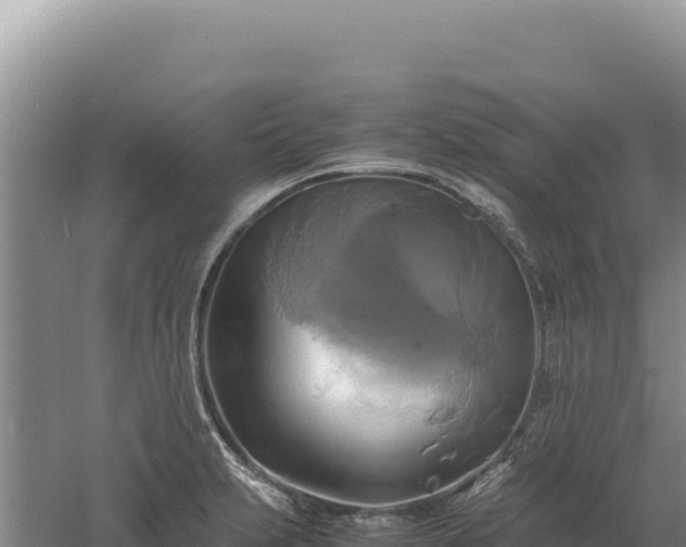 X0000060571231200511101621