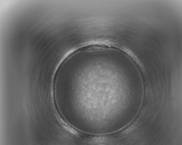 X0000060571232200511101621