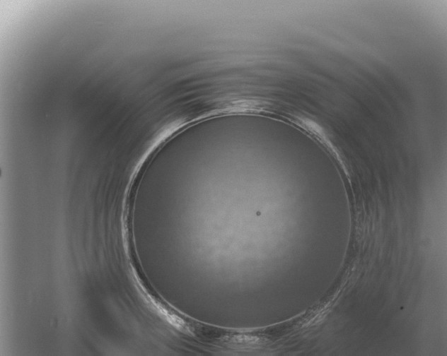 X0000060571235200511101621