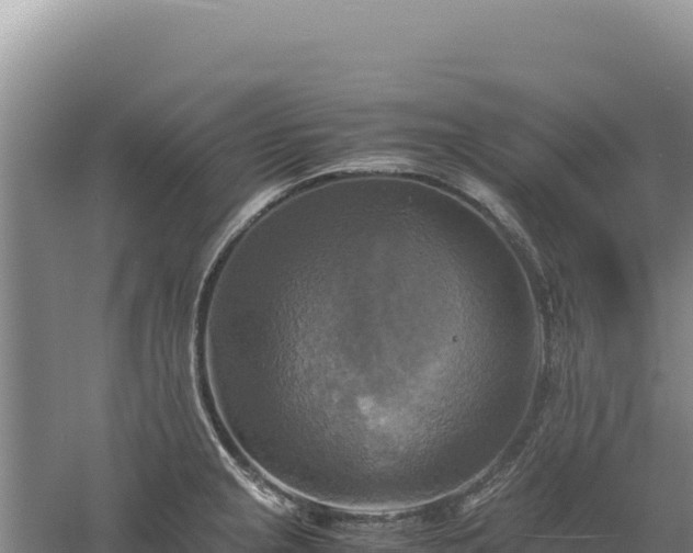 X0000060571237200511101621