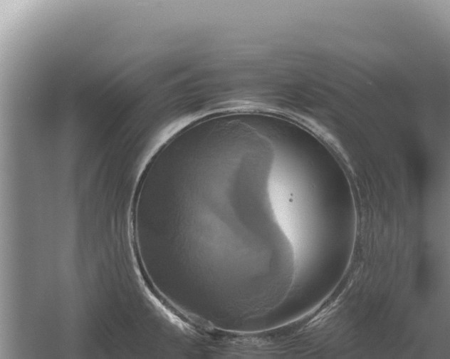 X0000060571239200511101621