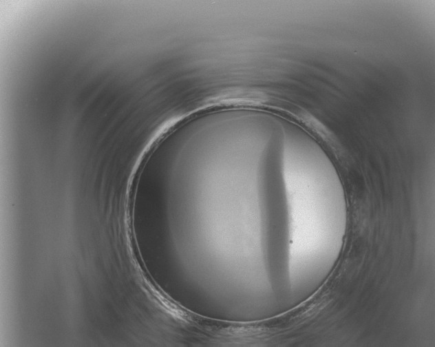 X0000060571240200511101621