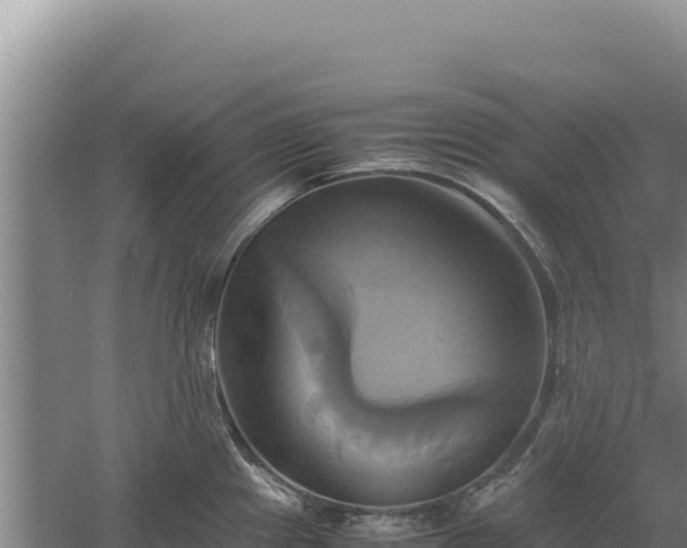 X0000060571241200511101621