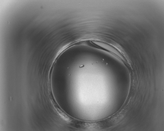 X0000060571242200511101621