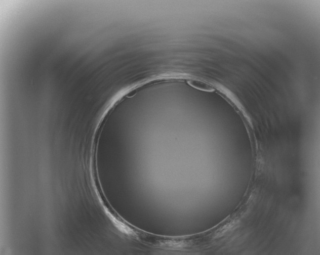 X0000060571245200511101621