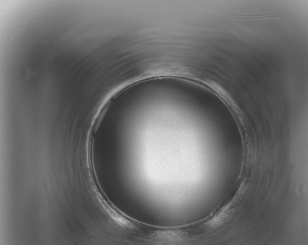 X0000060571246200511101621