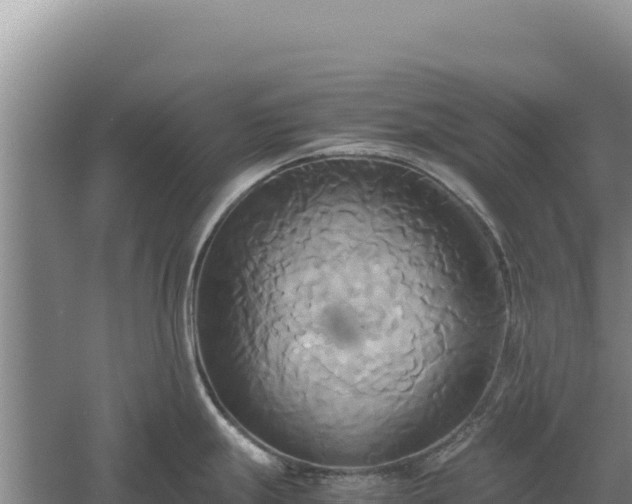 X0000060571247200511101621