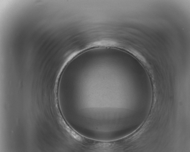 X0000060571248200511101621