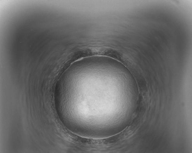 X0000060571249200511101620