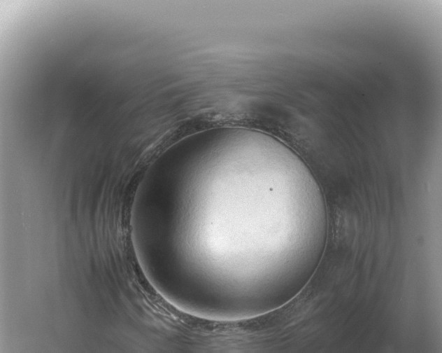 X0000060571250200511101620