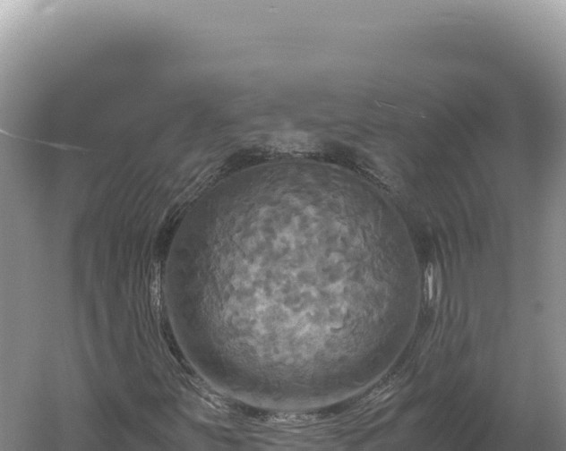 X0000060571251200511101620