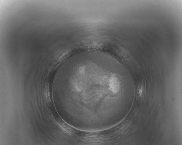 X0000060571252200511101620