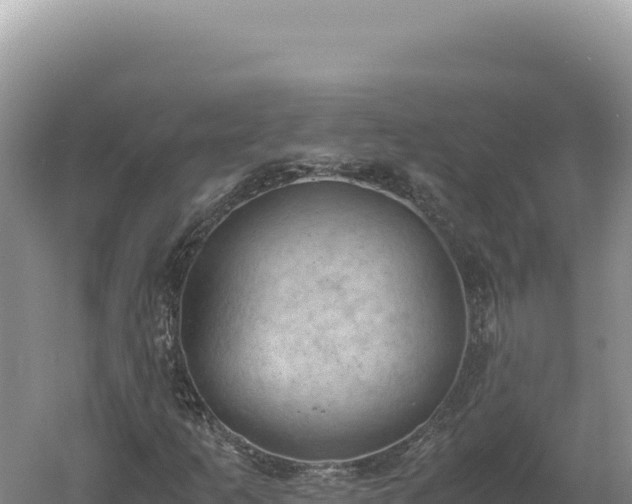 X0000060571253200511101620