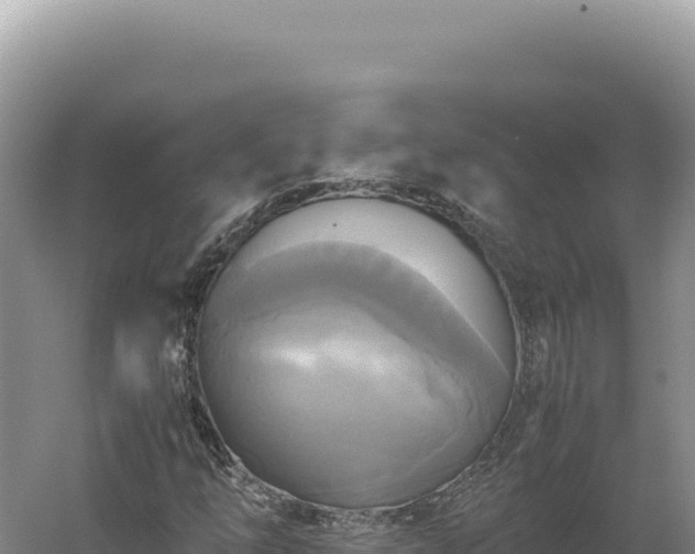 X0000060571254200511101620