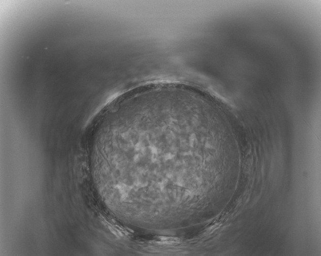 X0000060571255200511101620