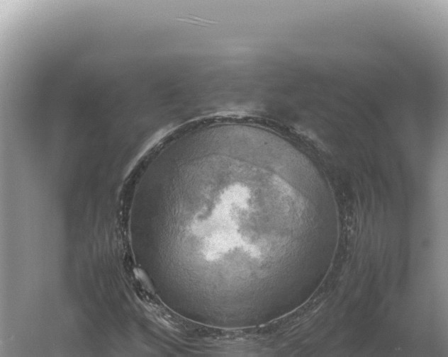 X0000060571256200511101620