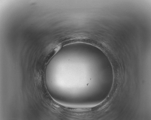 X0000060571257200511101620