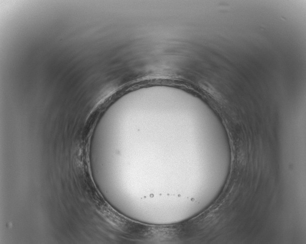 X0000060571258200511101620