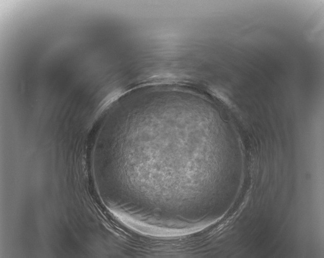 X0000060571259200511101620