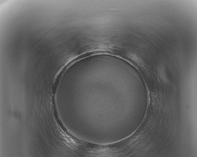 X0000060571260200511101620