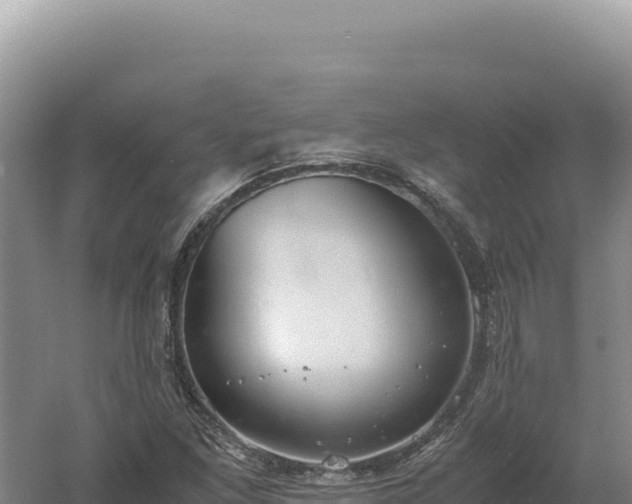 X0000060571261200511101620