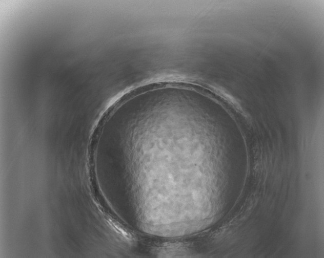 X0000060571264200511101620