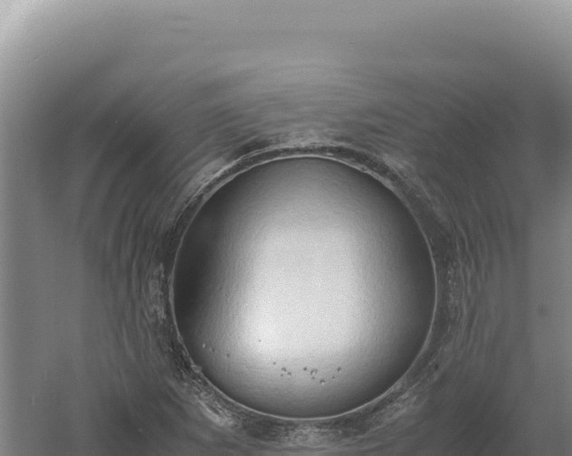 X0000060571265200511101620