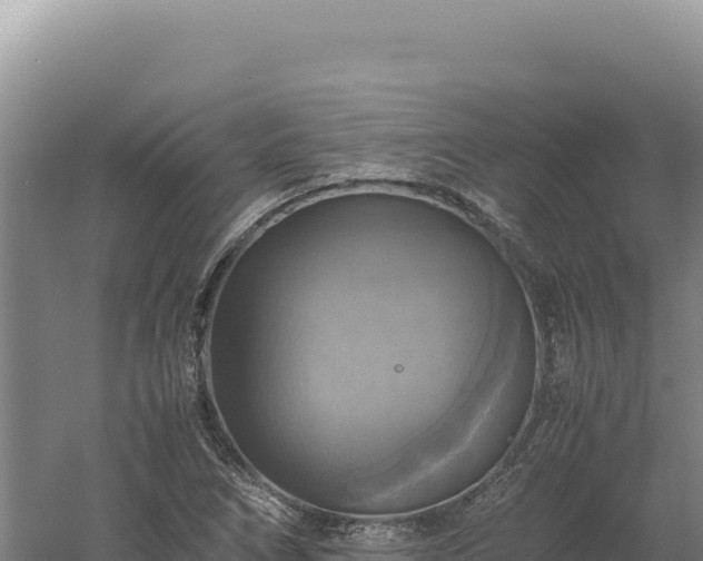 X0000060571266200511101620