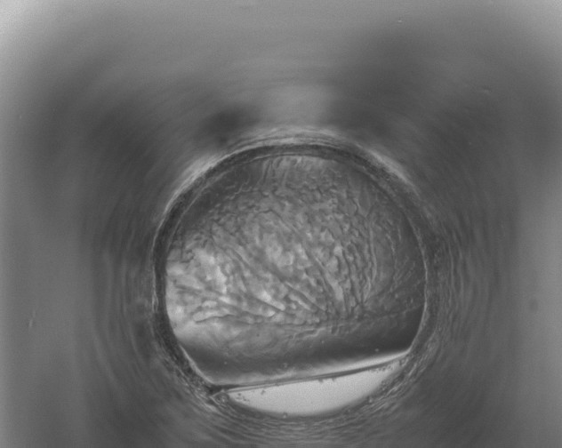 X0000060571267200511101620