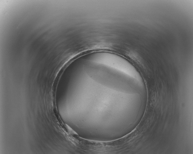 X0000060571268200511101620