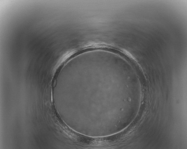 X0000060571269200511101620