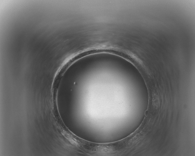 X0000060571270200511101620