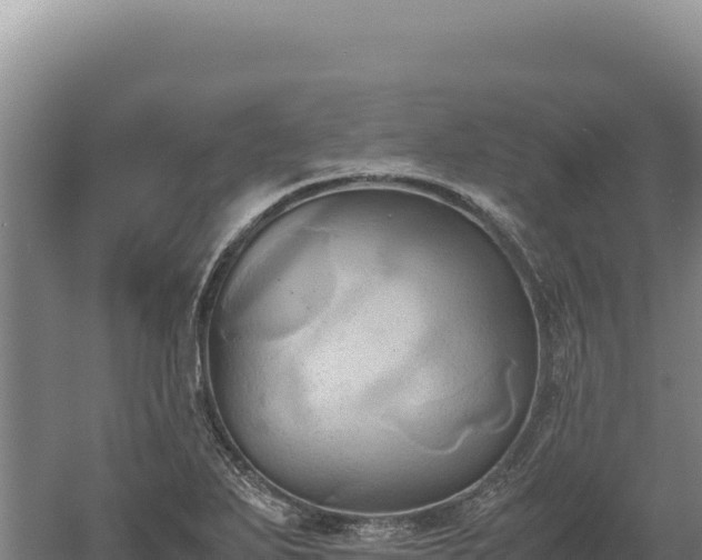 X0000060571271200511101620