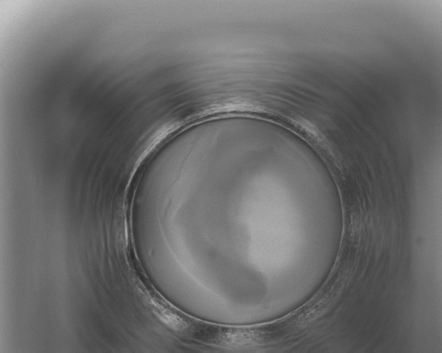 X0000060571274200511101620