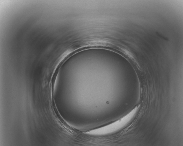 X0000060571275200511101620